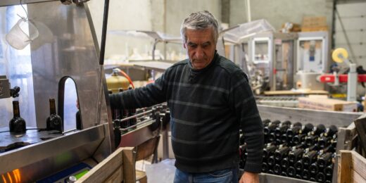 Winegrowing estate since 1840: 8 generations of family heritage