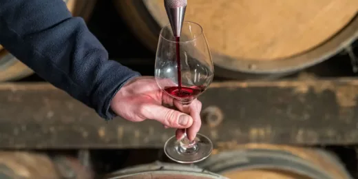 Winegrowing estate since 1840: 8 generations of family heritage