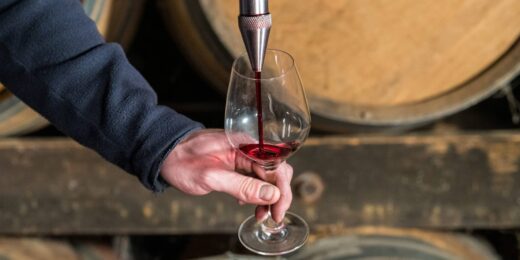 Domaine viticole depuis 1840 : héritage familial sur 8 générations